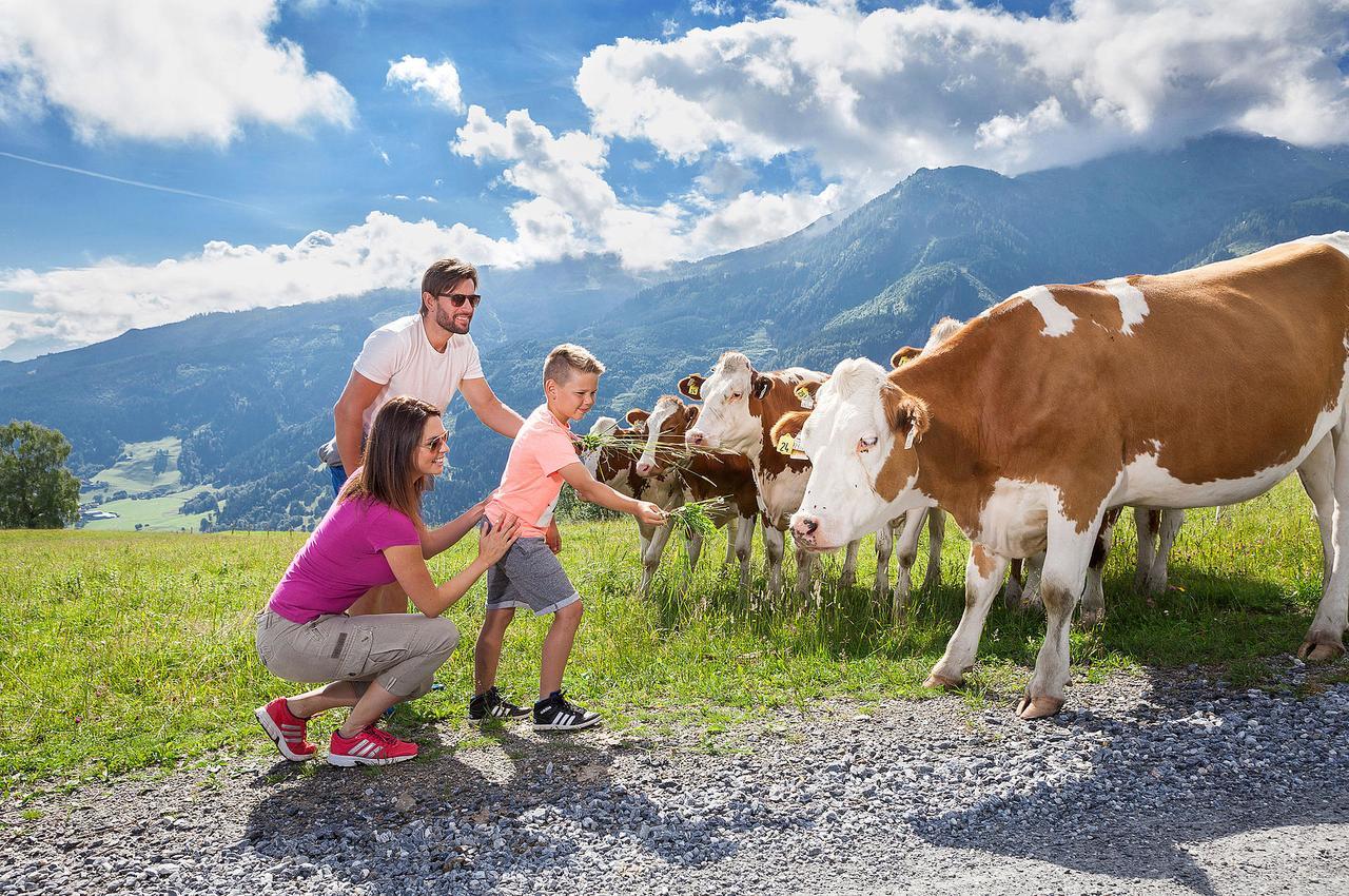 Chalet Sonneck Summer Card Included Kaprun Ngoại thất bức ảnh